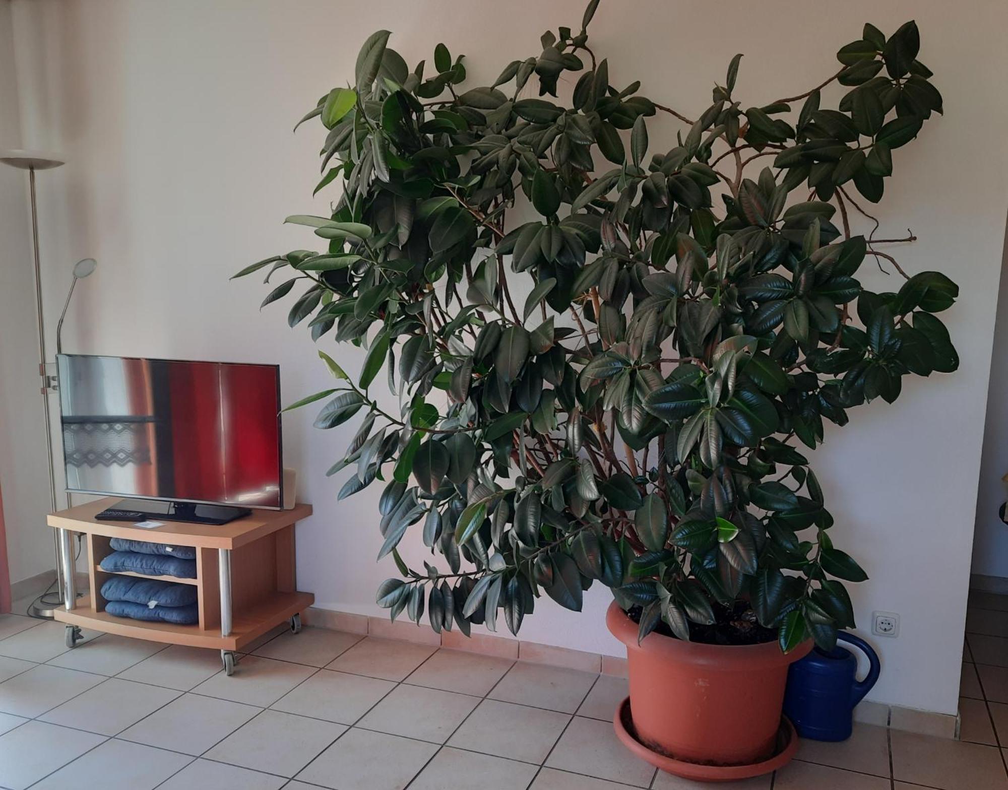 Ferienwohnung Ferstl Riedenburg Esterno foto